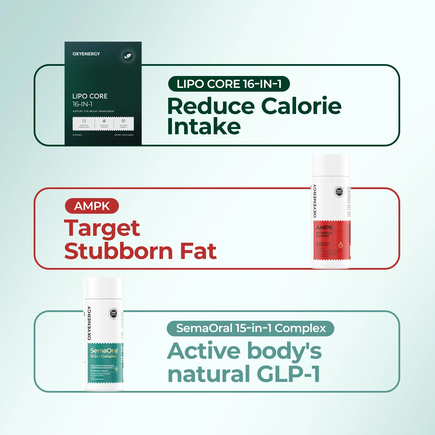 All-in-One Weight Management Bundle - Image 3