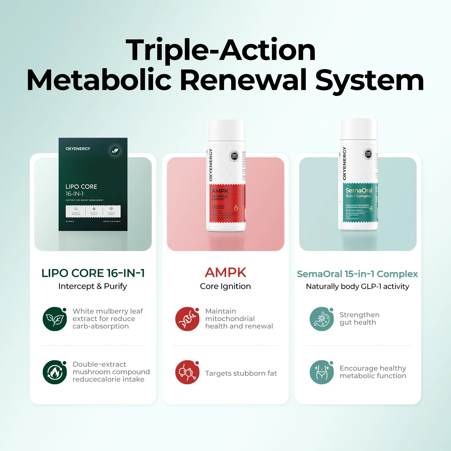 All-in-One Weight Management Bundle - Image 4