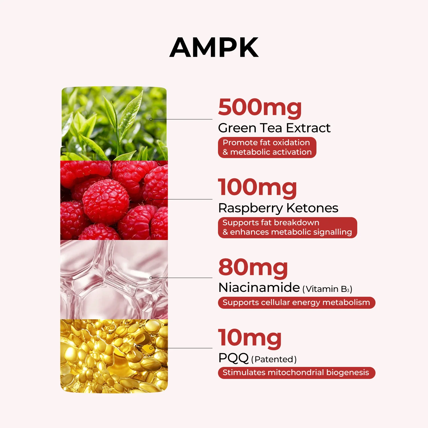 All-in-One Weight Management Bundle - Image 7