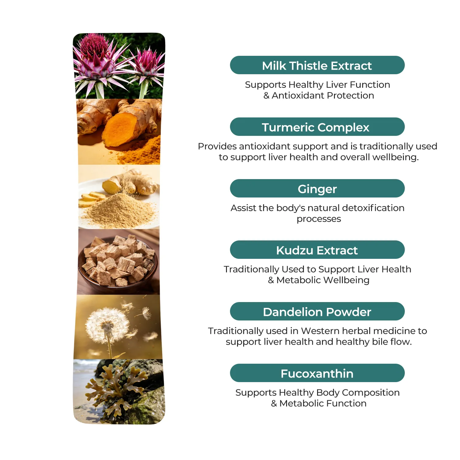 Liverchill - Supports Natural Fat Metabolism - Image 3