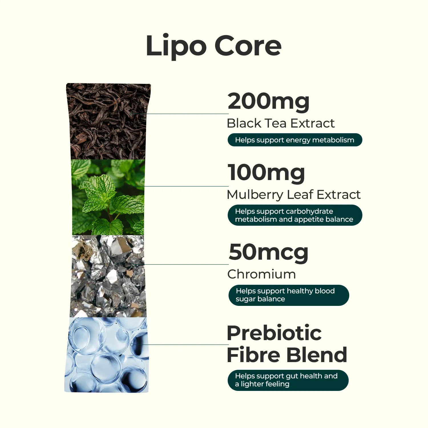 Metabolism & Gut Support Bundle - Image 4