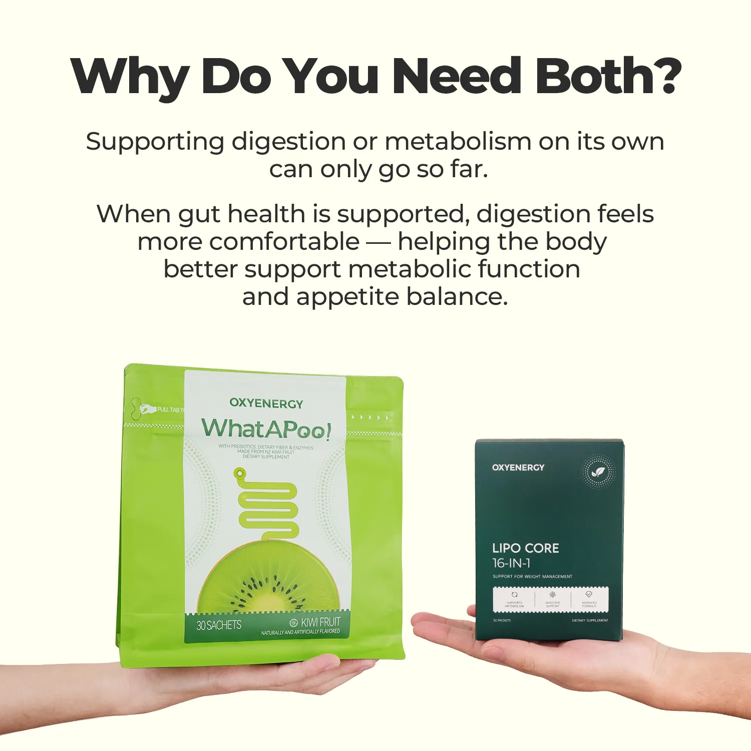 Metabolism & Gut Support Bundle - Image 6