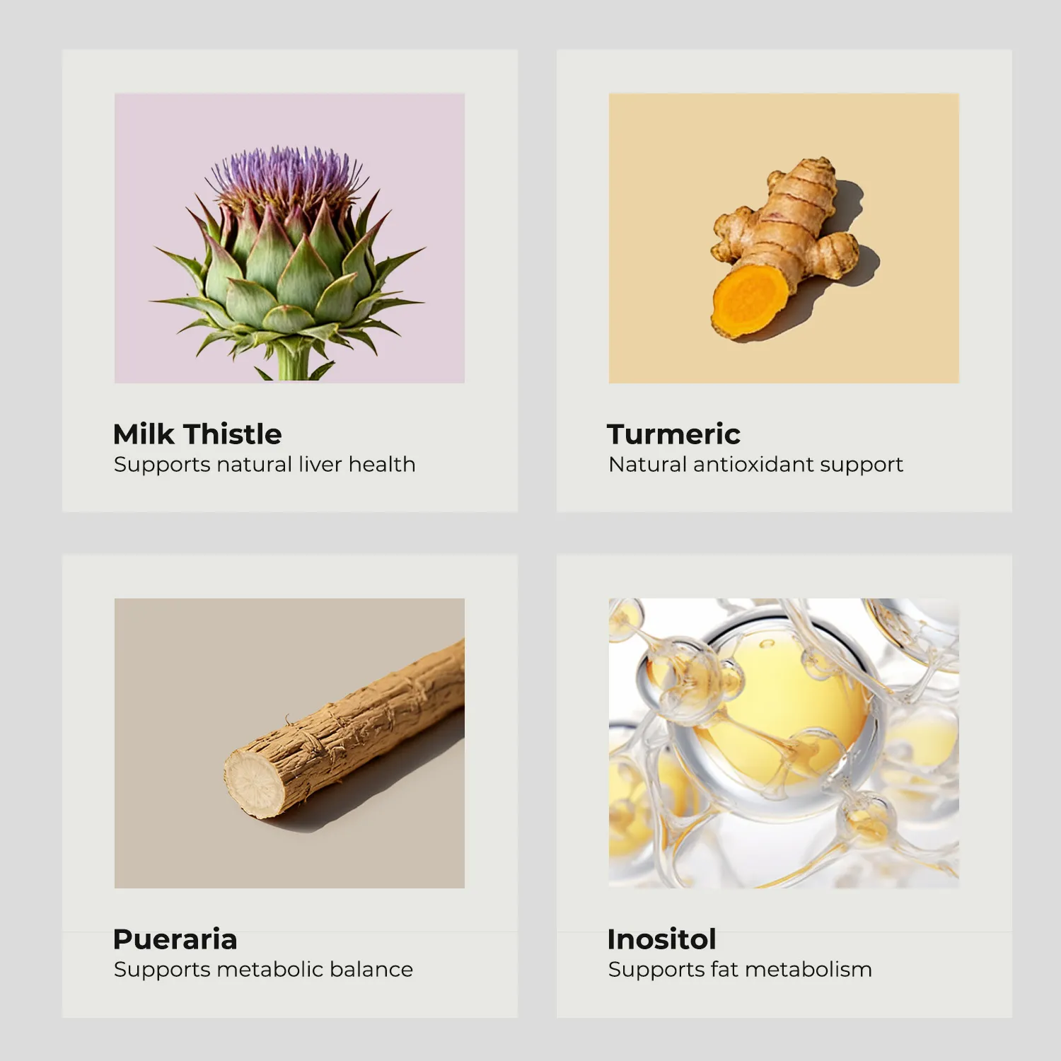 Milk Thistle Extract 300mg - Image 4