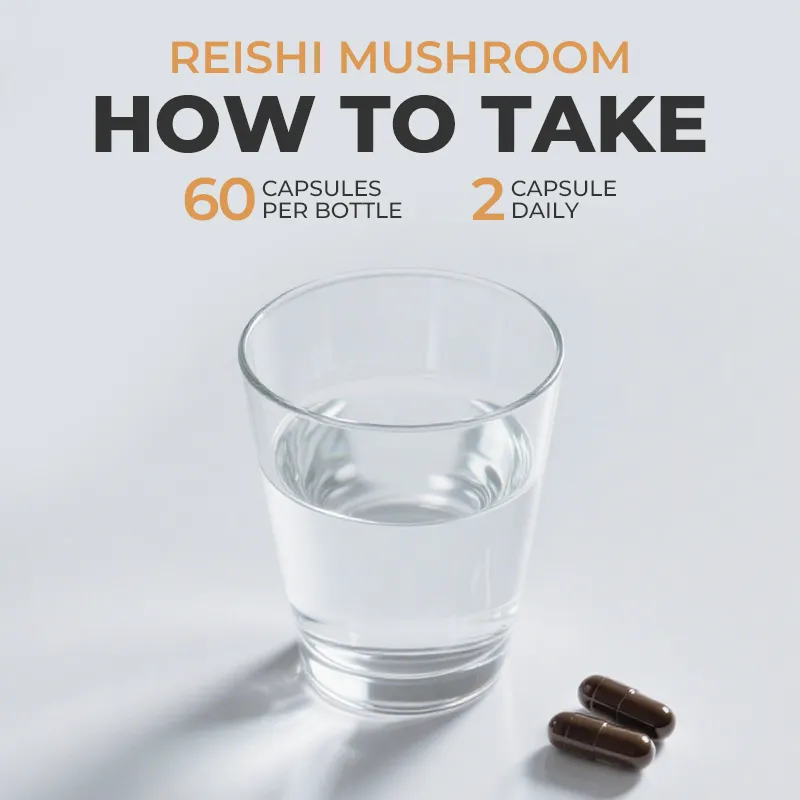 Mushroom Reishi Spores - Image 5